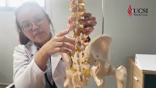 T&CM Chiropractic: Patient Flow