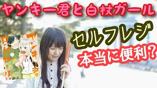 【視覚障害とセルフ】ヤンキー君と白杖ガール【漫画解説】
