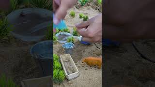 DIY mini water pump electric #minipump #waterpump #rcpump #diyminipum #diywaterpump