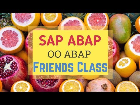 SAP ABAP : OO ABAP--Friends Class