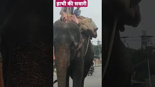 Haathi ki sawari #funnydev