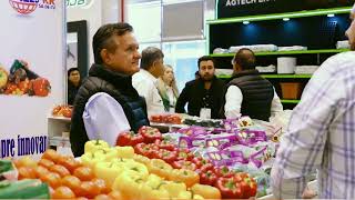 This was GreenTech Americas 2024! Recap video