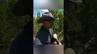 The #1 Mistake Hikers Make Around Horses 😳 #hikingtips #trailrules #hikingsafety #cowboyadventures