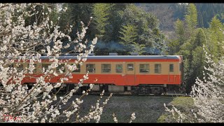 いすみ鉄道と小湊鉄道 録ってきました 2023年3月4日 【4K60P】