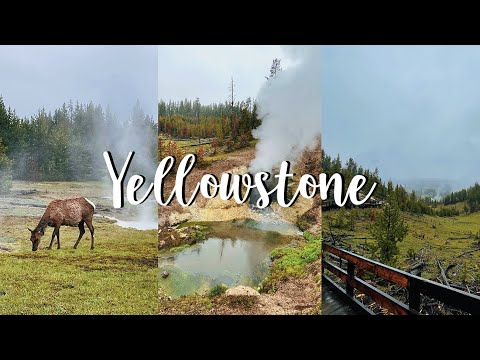 Yellowstone🦬黃石公園丨Day2(下): 西拇指噴泉盆地 + 泥火山地區🌋//🇭🇰港人遊美國🇺🇸黃石篇 (EP.3)丨Travel vlog