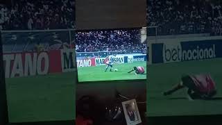 time rui ese csa