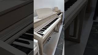 Piano điện về full Showroom Piano Hà Nội #pianohanoi #grandpiano #pianocaocap #pianodien #piano