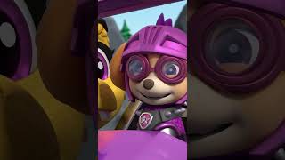 冰龍的呼吸讓王國結冰了！救援騎士隊拯救成功！#PAWPatrol #Shorts 兒童卡通