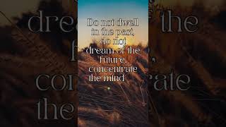 "100 Powerful Life Wisdom Quotes You’ll Never Forget ✨ | Timeless Philosophy"