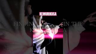 🌱KEMURIKUSA #animesongs #anime #アニソン #アニメ #ケムリクサ #NANO