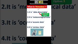 What is Metadata | Metadata in GIS in HINDI URDU #GIS #SHORTS