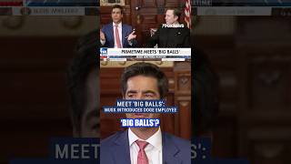 Why this DOGE employee goes by 'big balls' #funny #elonmusk #doge #trump #foxnews #news #shorts