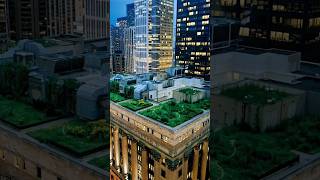 🌿🏙️ Green Roofs & Sponge Cities: Nature’s Solution to Urban Flooding #shorts #inventions
