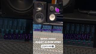 Prince Swanny - Till We Die ( Song) #princeswanny #unreleased #ZTGRecords #ztg