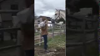 The reaction of the horse, fear and misunderstanding 🤣 | Fails of the Week | Funny Jokes