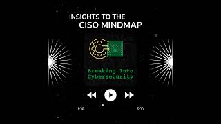 Insights into the CISO Mind Map — Vulnerability Management