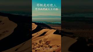 ✨聖經金句✨我是好牧人，好牧人為羊捨命。#約翰福音  10章11節
