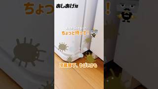 ちょっと待って！冷蔵庫の下やばいかも #便利グッズ #新生活