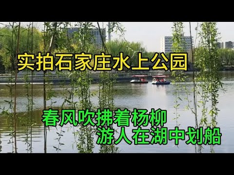 实拍石家庄水上公园，春风吹拂着杨柳，游人在湖中划船，景色宜人