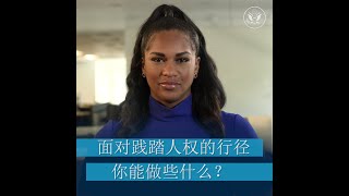 面对践踏人权的行径，你能做些什么？