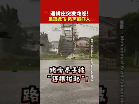 狂风肆虐！亭子被“连根拔起” 稻田现“碎片雨” 适耕庄居民拍下可怕瞬间！