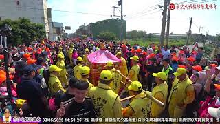 急行軍不管多麼趕路看到小朋友媽祖神轎竟然這麼做..2025白沙屯媽祖進香精彩片段..歡迎按讚分享！