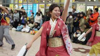 2025 土佐のおきゃく 祭屋よさこい踊り子隊 帯屋町2丁目会場