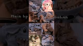 Story wa keren #ccpkeren
