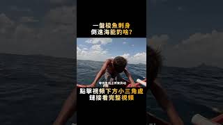 把大梭魚最肥厚的一塊肉，削下來做成一盤刺身，扔進海裏能釣什麽？#shorts