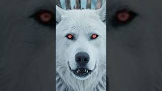 “Dire Wolf: The Real Ice Age Killer” #shorts #viralshorts #wildlife
