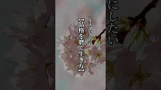 一生大切にしたい【品格を磨く生き方】 #言葉 #名言 #心に響く言葉 #品格
