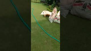 #alightmoti #viral