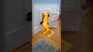 #home #doggielife #diy #cat #pets #animals #cutedogs #puppylife #doggieshorts #cutepuppy