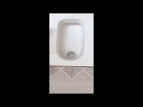 トイレの悩みには…#shorts