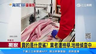 海產店直播賣「大白鯊」 漁業署：移請檢方偵辦｜三立新聞網 SETN.com