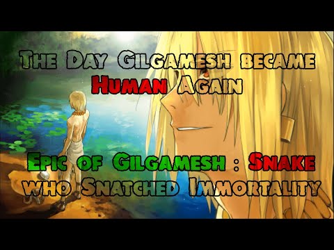 The Day Gilgamesh Becomes Human Again | Epic of Gilgamesh:Snake who Snatched Immortality | Fate Lore