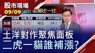【外資投信土洋對作 聚焦低價面板股!選股再進化 面板股景氣反轉 二虎一貓比一比 誰具補漲空間?】20200909(第6/7段)股市現場*鄭明娟(林聖傑)