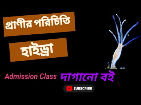 Zoology Chapter 2 Hydra | For Medical Admission |
