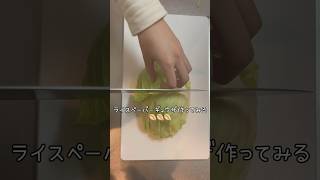 脱出おひとり島のジアちゃんが食べてるライスペーパー餃子作ってみた🥟　#ダイエットレシピ #ライスペーパー #脱出おひとり島　#ジアちゃん餃子　#ダイエット餃子　#ダイエット