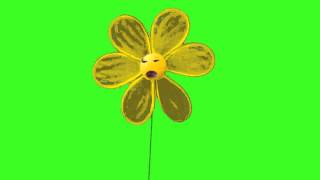 FLOWER - for your keying conveinence