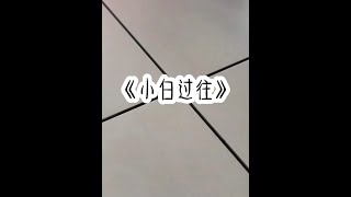 《小白过往》#文荒推荐 #小说推荐 #女生爱看的小说