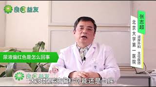 #尿液偏红 #尿血 #尿血别忽视！尿液偏红色是怎么回事
