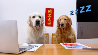 过年玩得有多嗨，开工后就有多困...