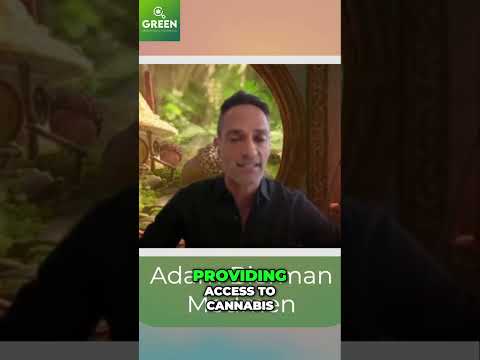 MedMen: Their HUGE Sacrifice For the Cannabis Revolution