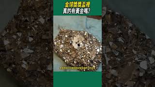 金球獎獎盃裡真的有黃金嗎？#體育#足球