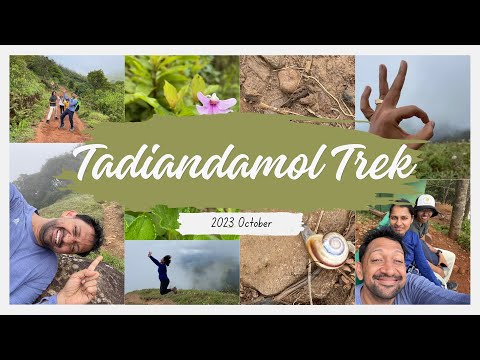Tadiandamol Trek (Thadiyandamol): Family-Friendly Trek Near Bangalore in Coorg | #trekking