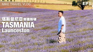 【🦘澳洲塔斯曼尼亞 1】塵世美薰衣草海、黑松露狩獵、搖籃山美景 & 新鮮生蠔!!  🦪 #mikeyuen #塔斯曼尼亞 #澳洲旅遊 #塔斯曼尼亞旅遊 #澳洲 #tasmania