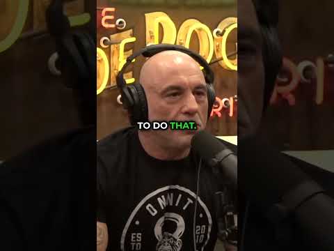 the Art of Martial Arts Commentary #jre #joeroganpodcast #jreclips #joeroganexperience