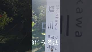 #沖縄散歩 #沖縄の風 #沖縄移住生活 #旅行 #沖縄 #沖縄移住 #沖縄vlog #おきなわ