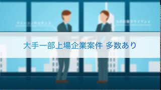【ハイパフォコンサル】大手一部上場企業案件多数